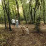 cum să îți relaxezi inima